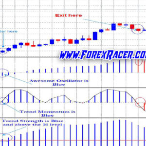 Forex Dominion System