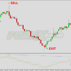 Forex King STS 2 Trading System
